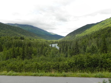 Enlarge photo 257