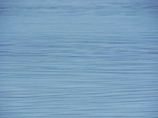 Enlarge photo 264