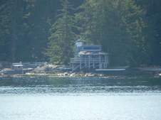 Enlarge photo 269