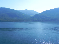 Enlarge photo 273