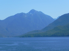 Enlarge photo 274
