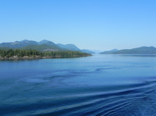 Enlarge photo 275