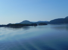 Enlarge photo 276