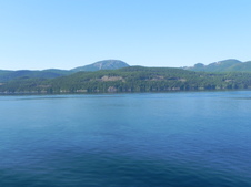 Enlarge photo 277