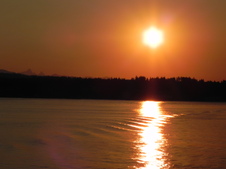 Enlarge photo 289