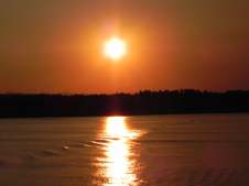 Enlarge photo 290