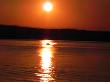 Enlarge photo 293