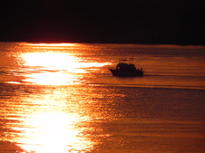 Enlarge photo 294