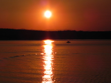 Enlarge photo 295