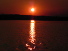 Enlarge photo 296