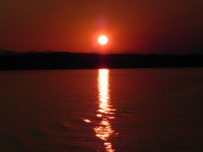 Enlarge photo 297