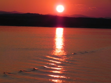 Enlarge photo 298