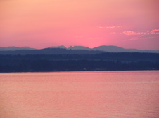 Enlarge photo 302