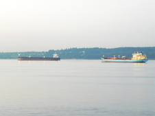 Enlarge photo 314