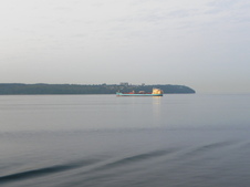 Enlarge photo 316