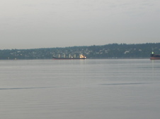 Enlarge photo 318