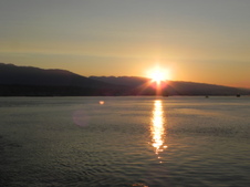 Enlarge photo 324
