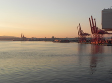 Enlarge photo 325