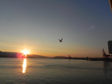 Enlarge photo 327