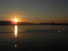 Enlarge photo 328