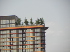 Enlarge photo 338