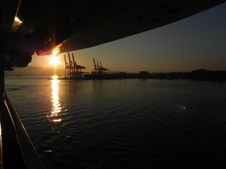Enlarge photo 340