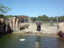Enlarge photo 351