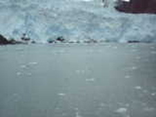 Enlarge photo 559
