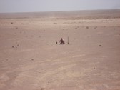 Enlarge photo 59