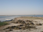 Enlarge photo 67