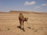 Enlarge photo 53