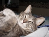 Enlarge photo 5