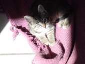 Enlarge photo 30