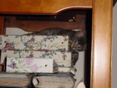 Enlarge photo 31