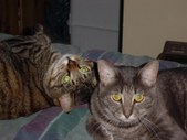 Enlarge photo 14