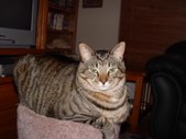Enlarge photo 27
