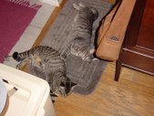 Enlarge photo 18