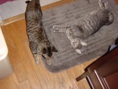 Enlarge photo 19