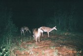 Enlarge photo 141
