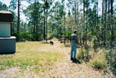 Enlarge photo 134