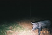 Enlarge photo 16