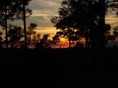 Enlarge photo 258