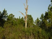 Enlarge photo 27