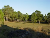 Enlarge photo 32