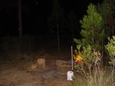 Enlarge photo 34