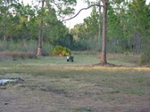 Enlarge photo 42