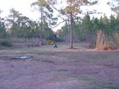 Enlarge photo 43
