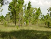 Enlarge photo 63