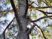 Enlarge photo 81