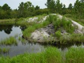 Enlarge photo 86